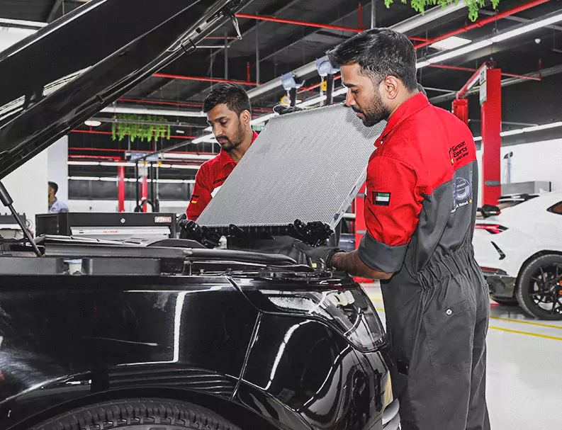 Two German Experts Holding the Car Radiator to fix in the car