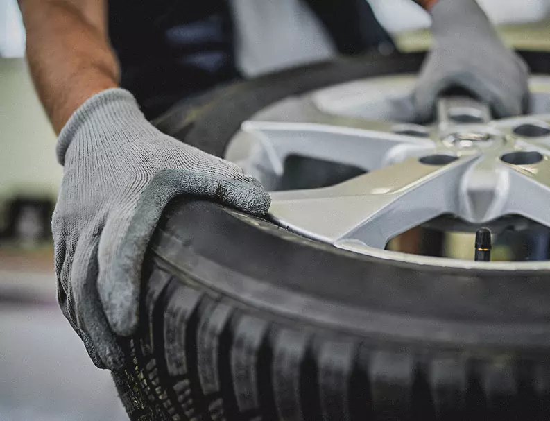 A German Expert Picking the Car Tyre