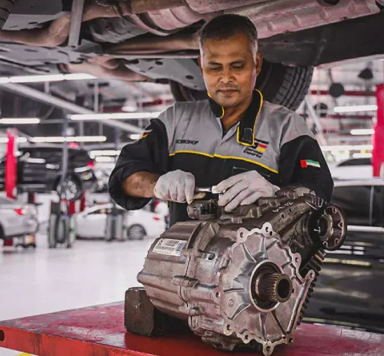 German Expert Opening the Car Engine