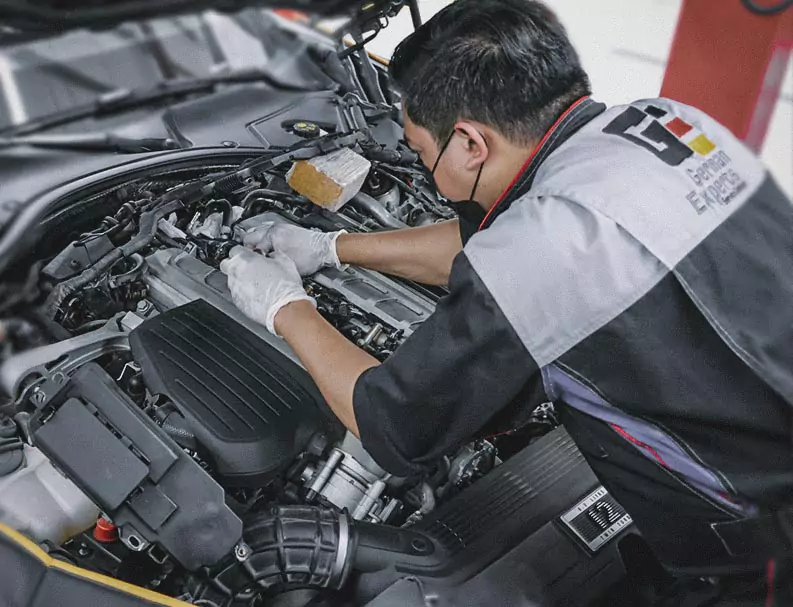 German Expert Fixing the Car Engine